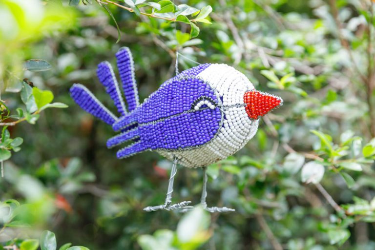 Bluebird-Pre-Primary-Bird